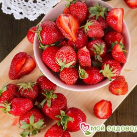 Клубника Дукат ранний в Бежецке